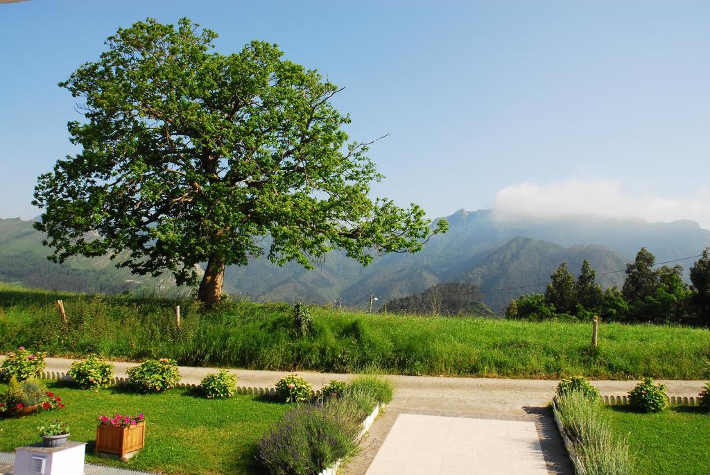 Hotel Mirador Del Sella Ribadesella Eksteriør billede